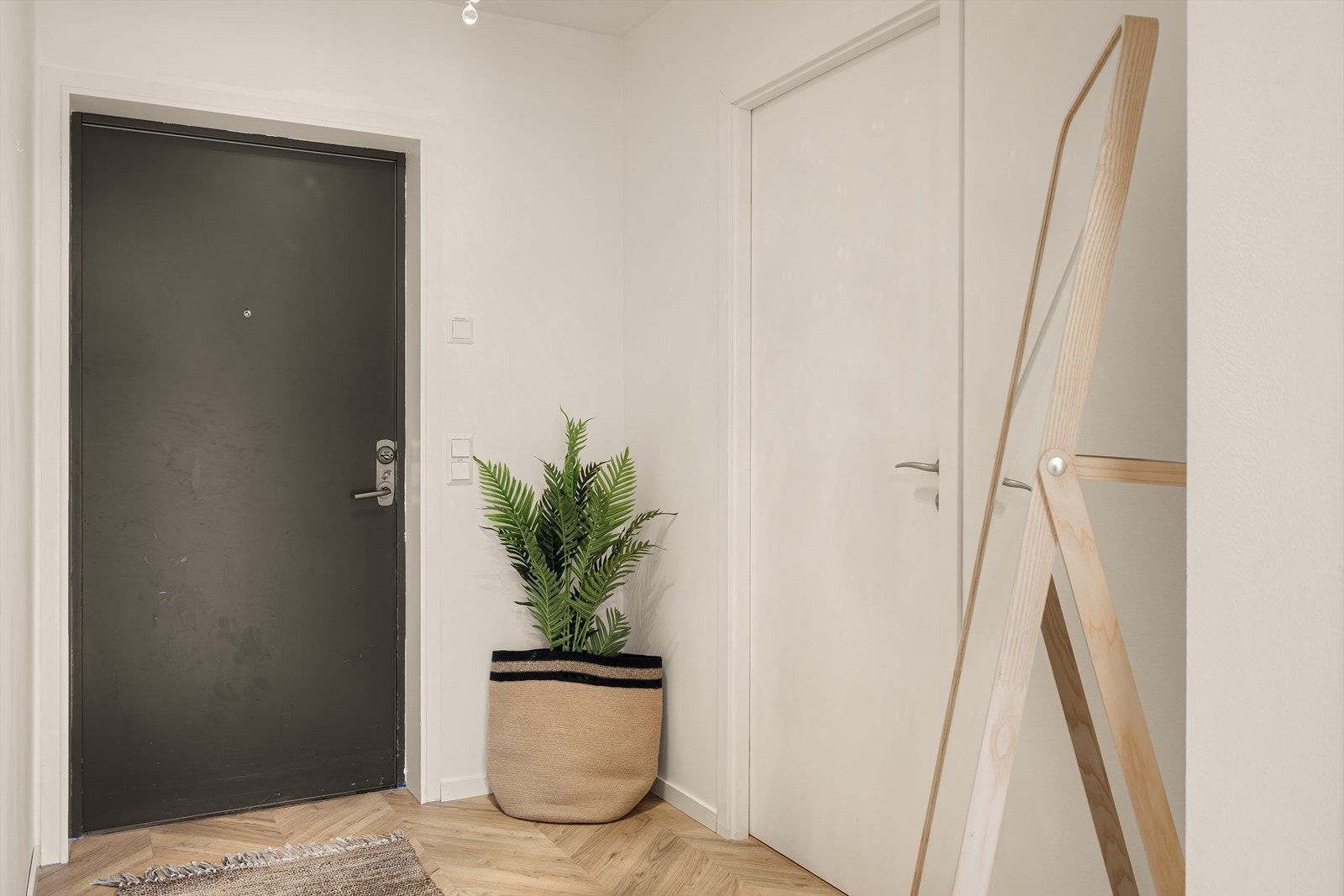 - Vi beveger oss ut - Galleribilde