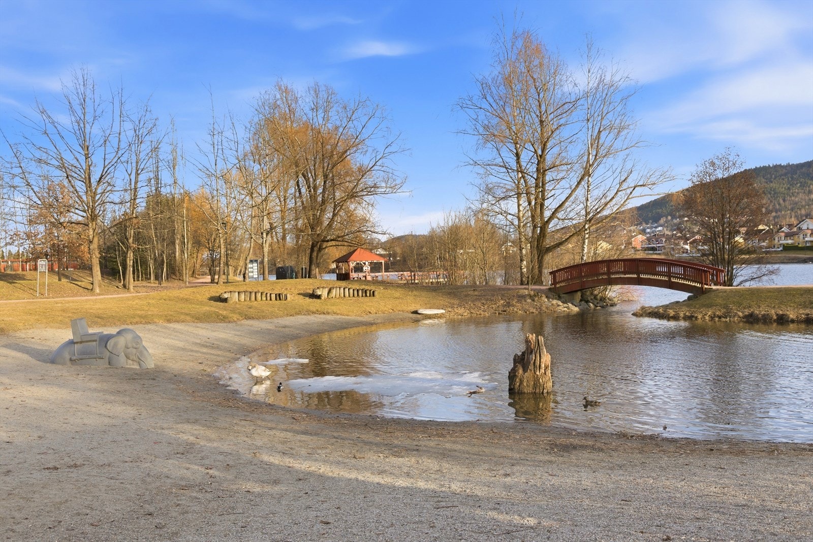 Elveparken lagune Galleribilde
