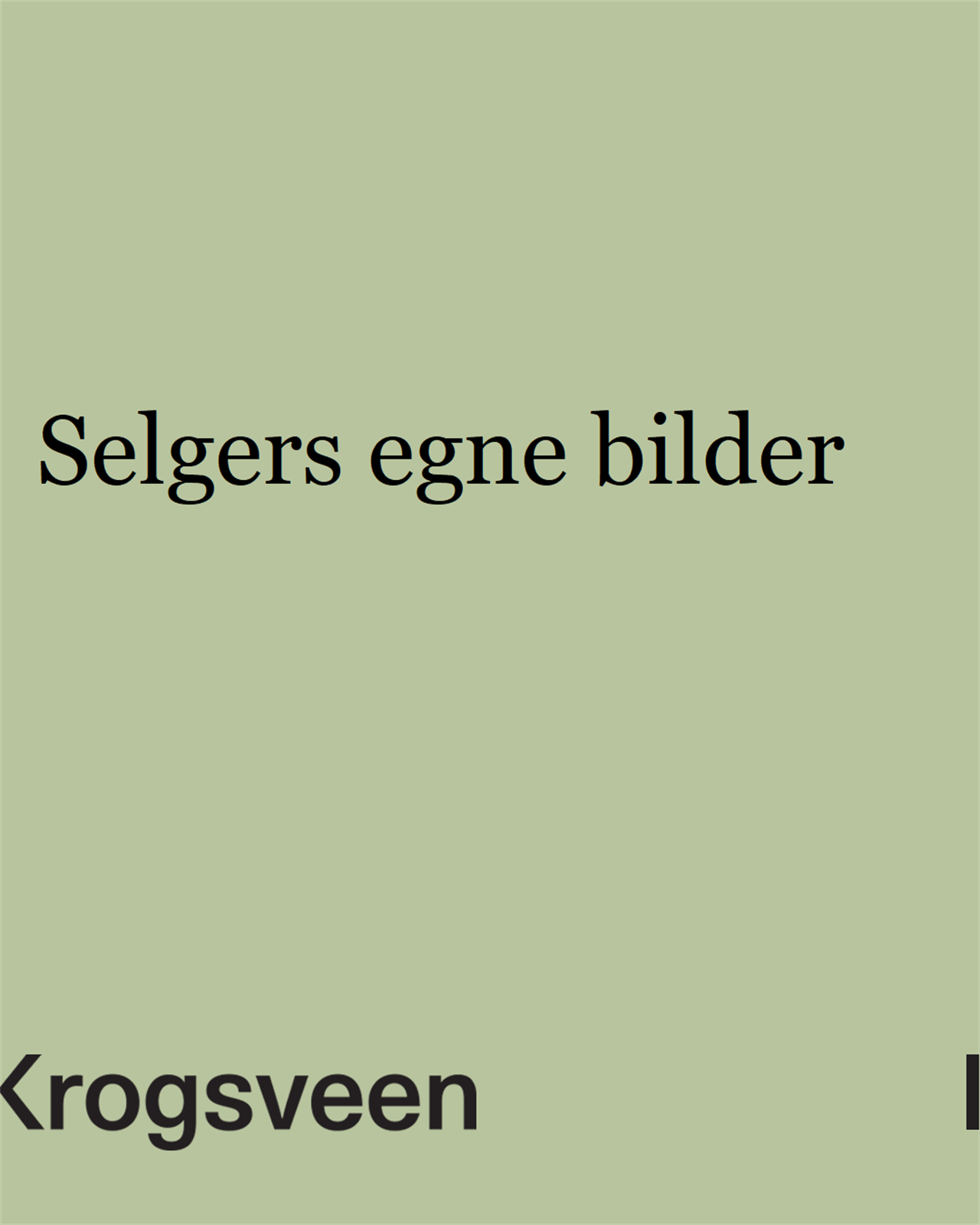 Selgers egne bilder Galleribilde