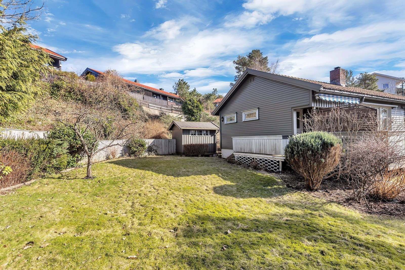 Pent opparbeidet tomt med gressplen og diverse beplantning Galleribilde