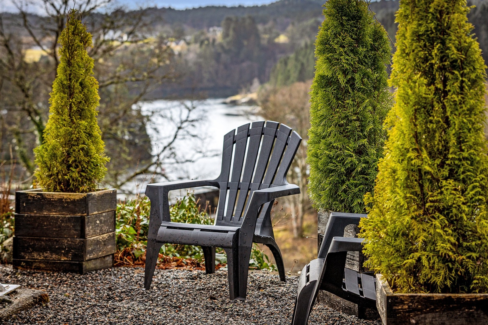 Fra hagen. Galleribilde