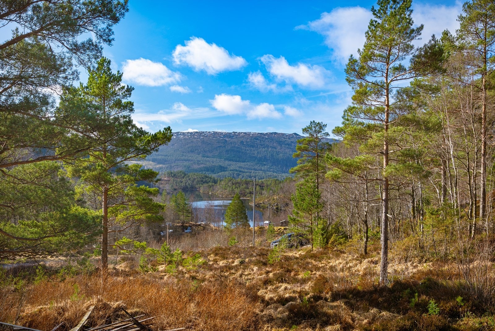Parti av utsikt fra nabotomten, som også medfølger i salget (selger eier både hytten og nabotomten) Galleribilde