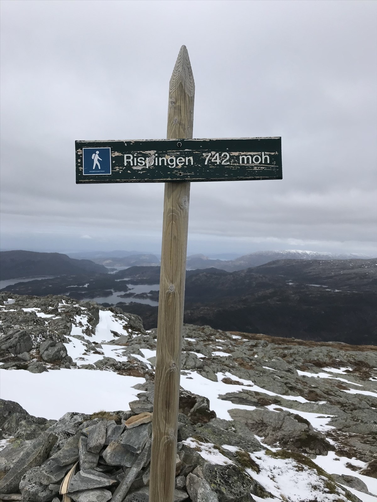 Nærområdet - Fjelltoppen Rispingen ligger som en fin fjelltur fra hytten Galleribilde