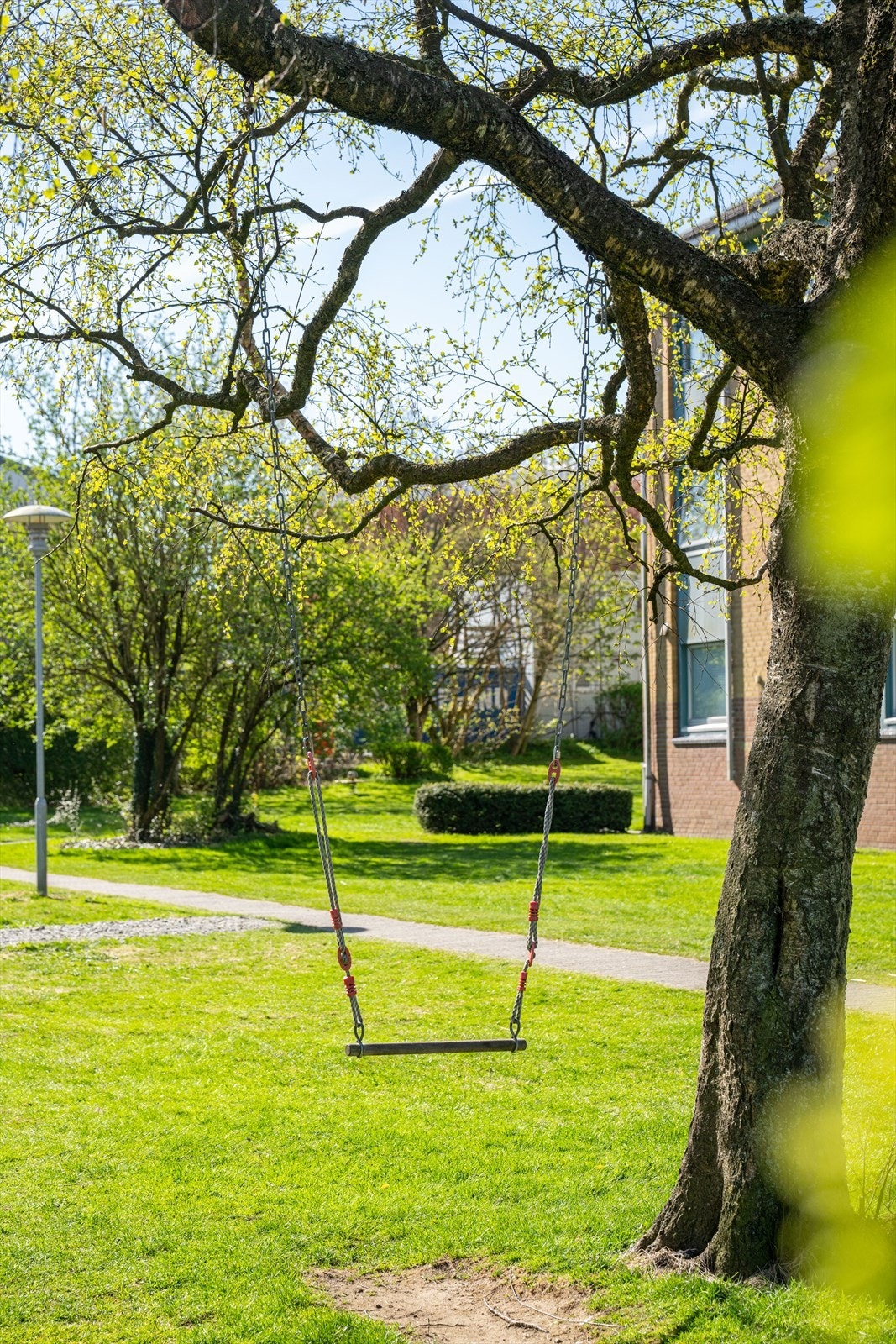 - En plass for både store og små - Galleribilde