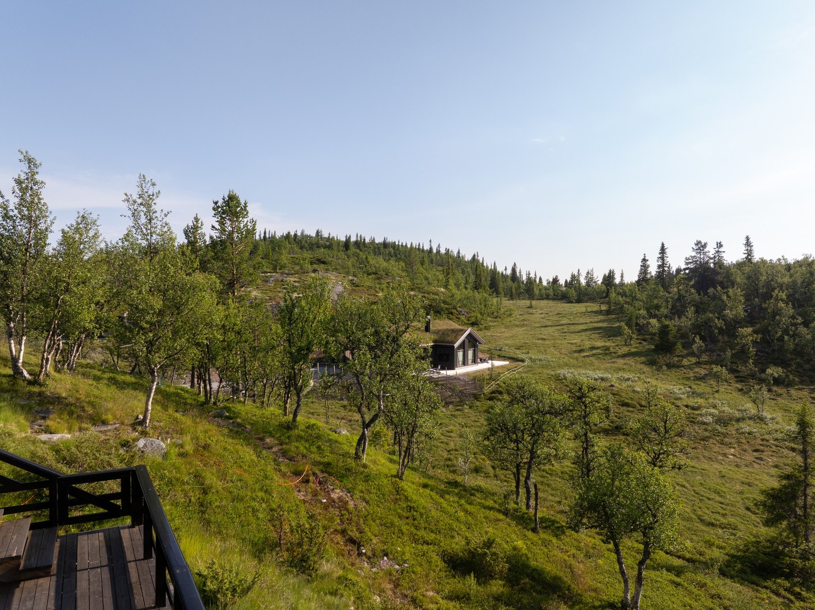Naturen som nærmeste nabo. Galleribilde