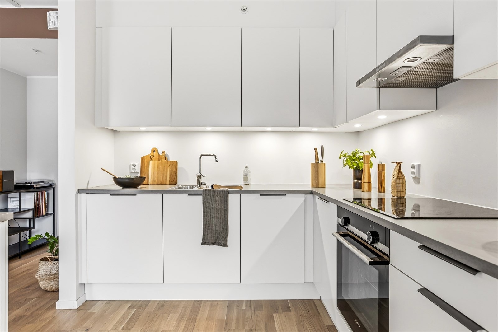 Det er integrert oppvaskmaskin, stekeovn, induksjonstopp og kjøl/fryseskap. Det er også montert lekkasjestopper og komfyrvakt. Galleribilde