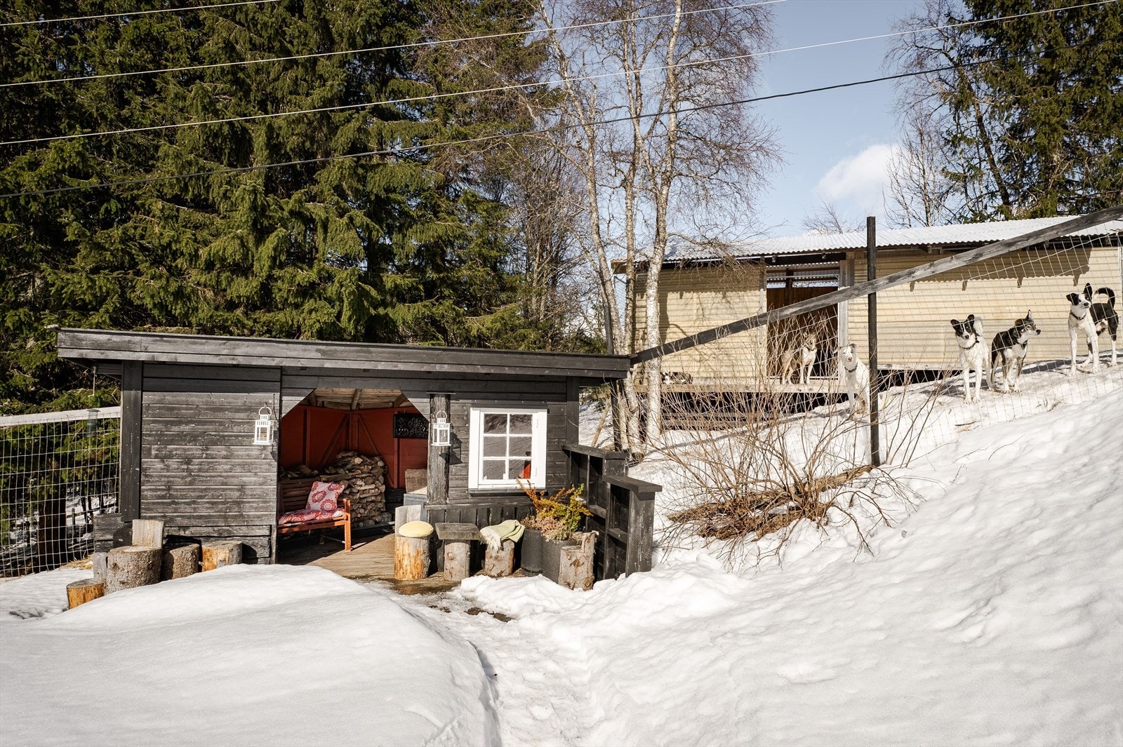 Eiendommen er godt tilrettelagt for hundehold og har en stor hundegård fra 2020. Hundegården har et areal på ca. 85m² (delvis åpent med åpne vegger). Galleribilde