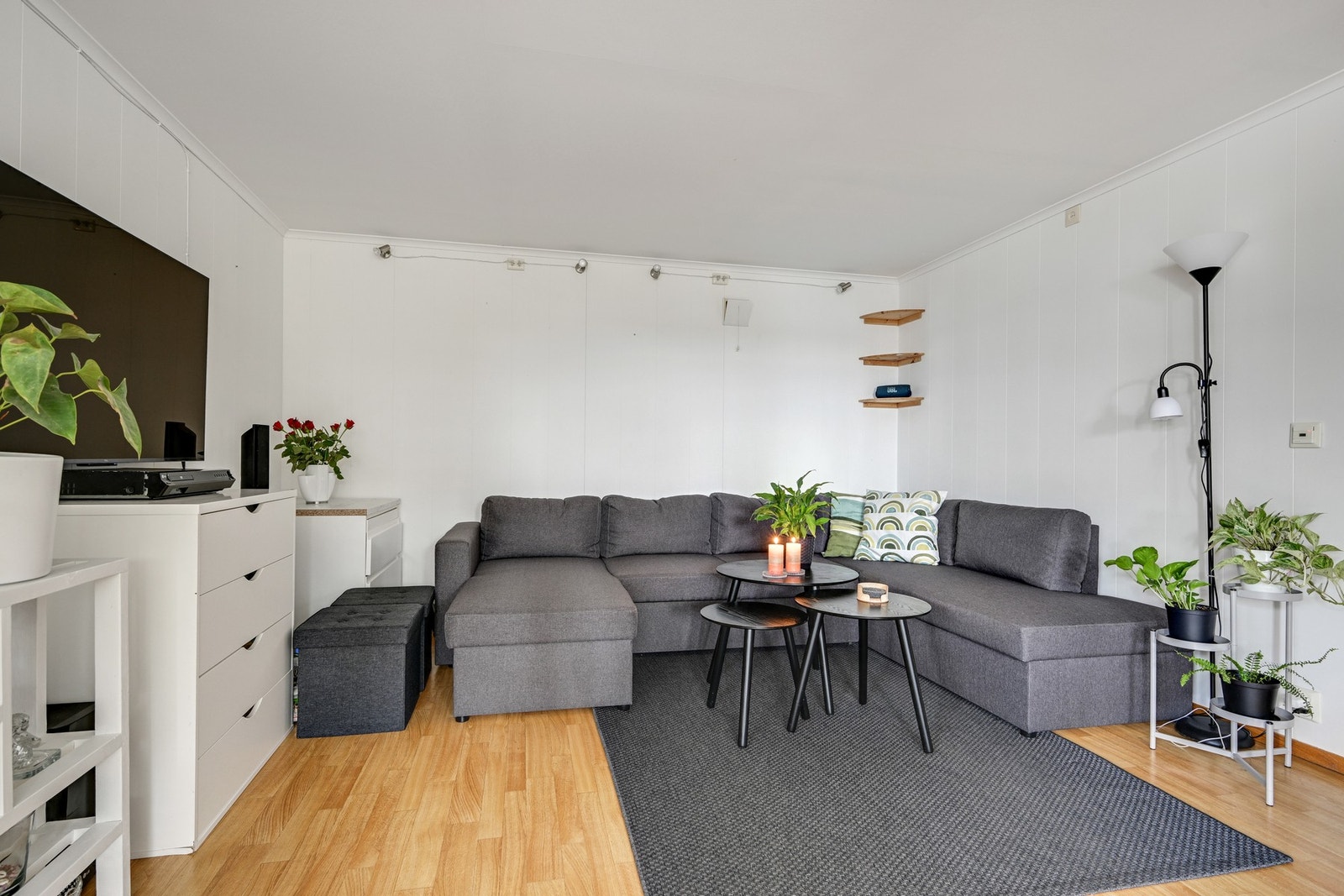 Sofakrok Galleribilde