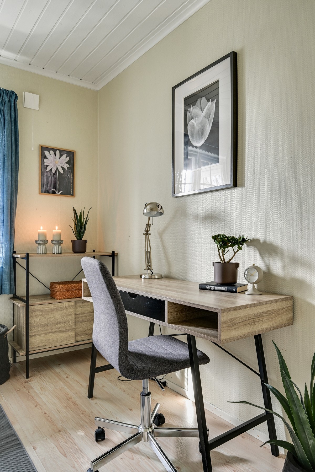 HEGE: Slettes eller beholdes ? Galleribilde