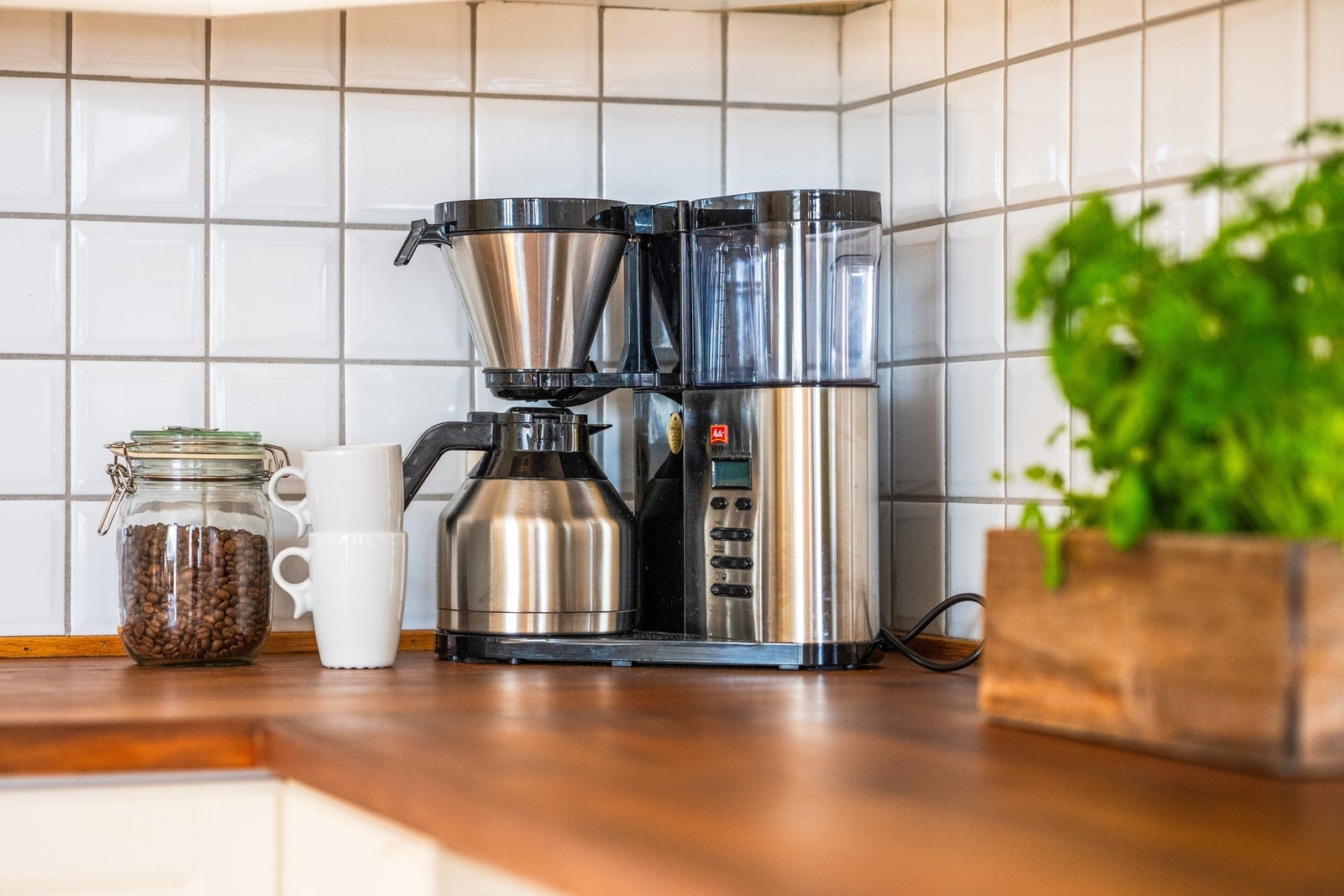 Kaffehjørne - kaffe og flere krydderplanter på Kiwi eller Rema begge noen får minutters gange fra kjøkkenbenken Galleribilde