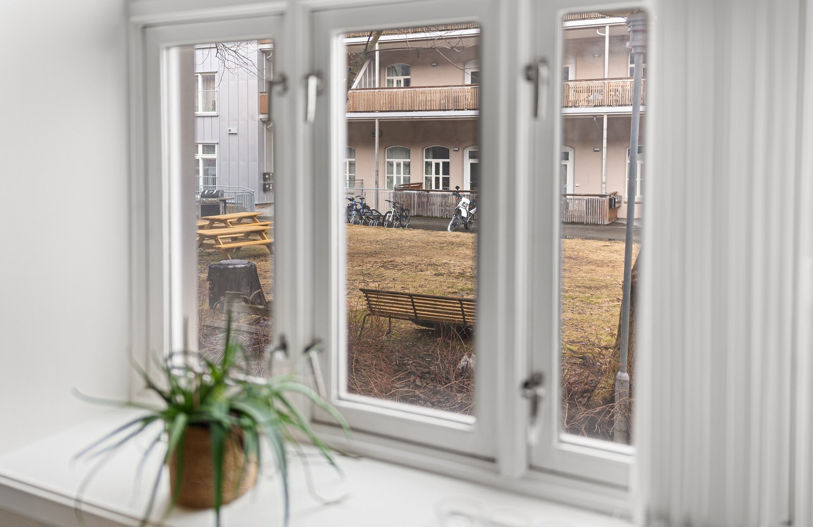 Vinduer med 2-lags isolerglass. Galleribilde