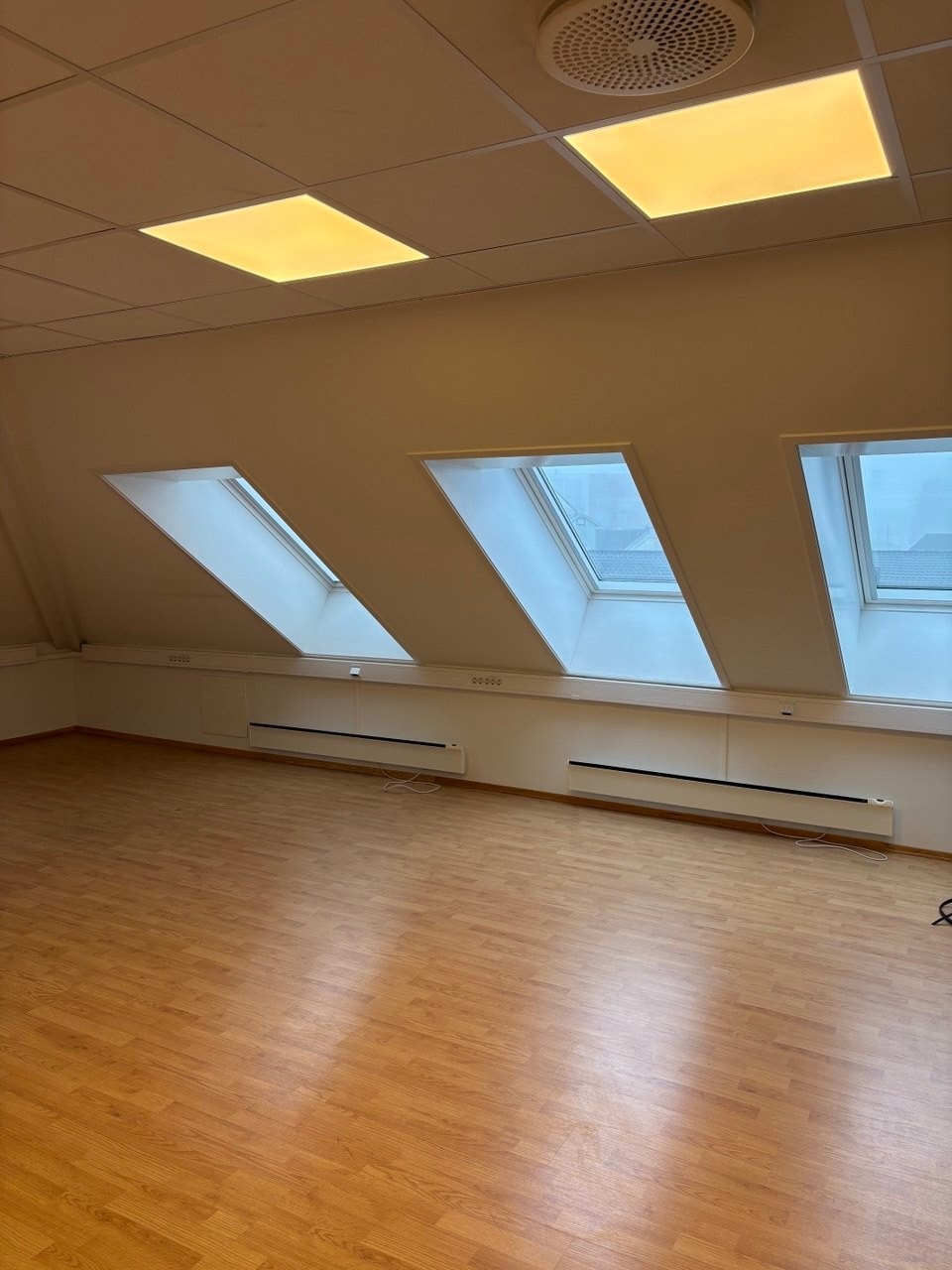 Større celle/hjørnekontor på ca. 28 kvm med vinduer mot begge sider Galleribilde