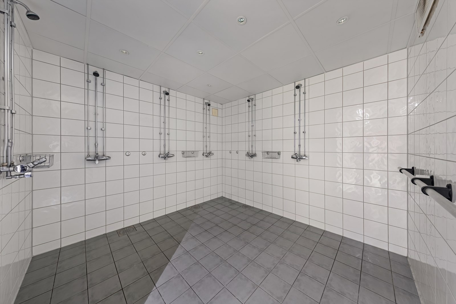 _W8A9483.jpg Galleribilde