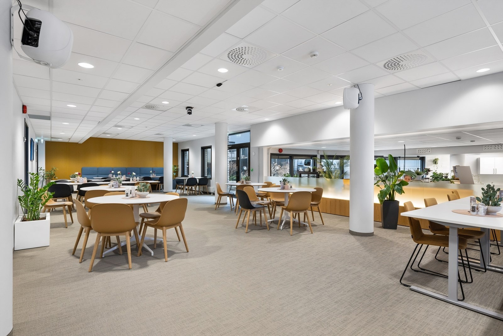 Tilgang til felles kantine