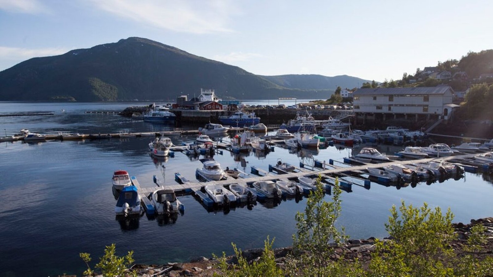 Bilder fra nærområdet! Galleribilde