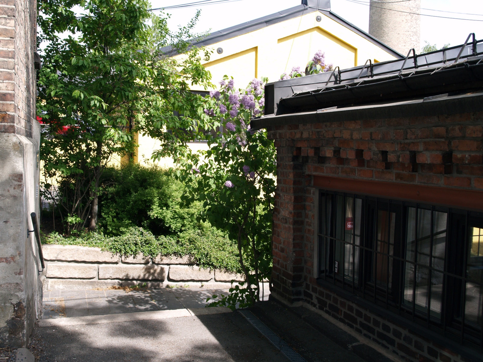 Område/ miljø Galleribilde