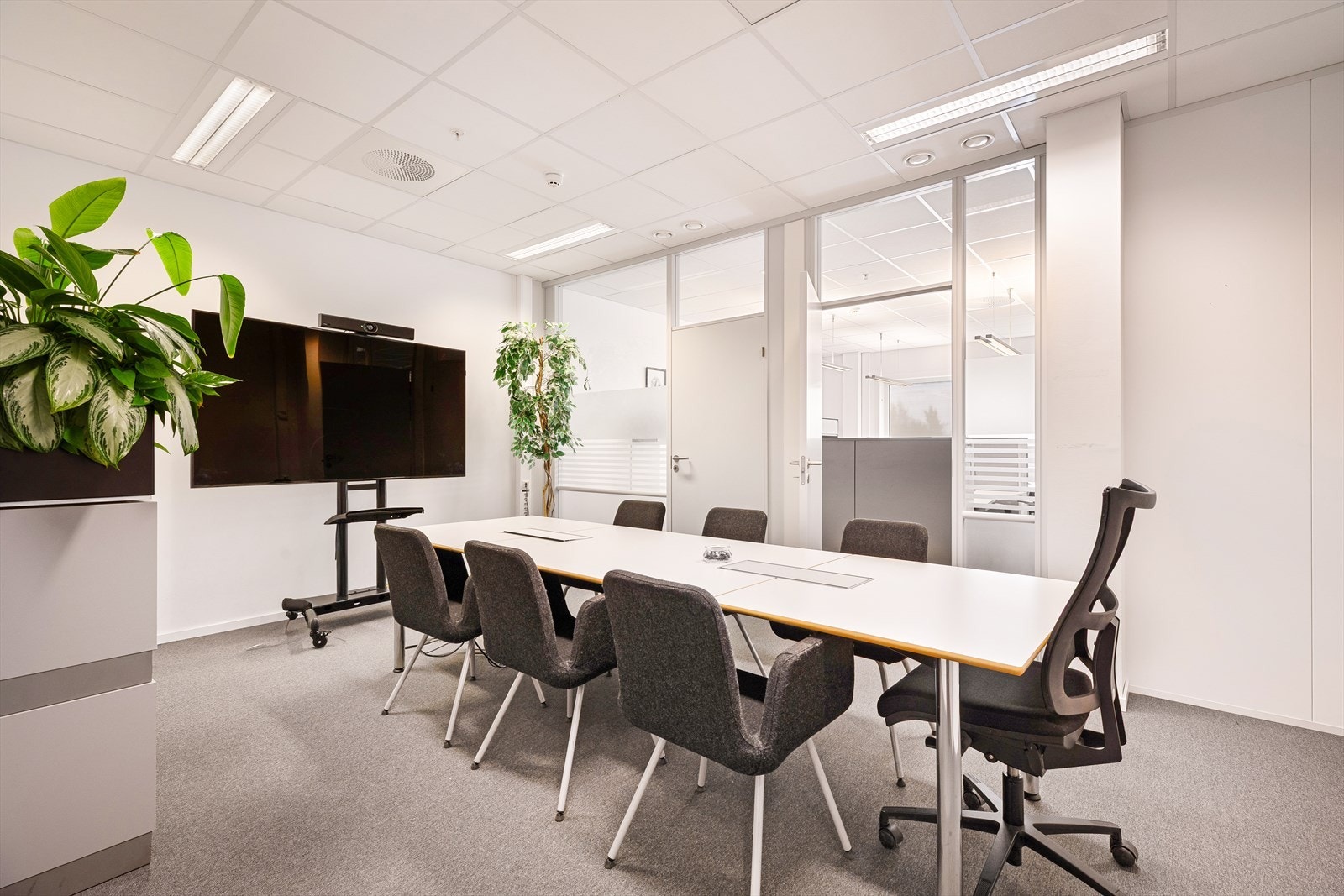 Romslige, lyse møterom.