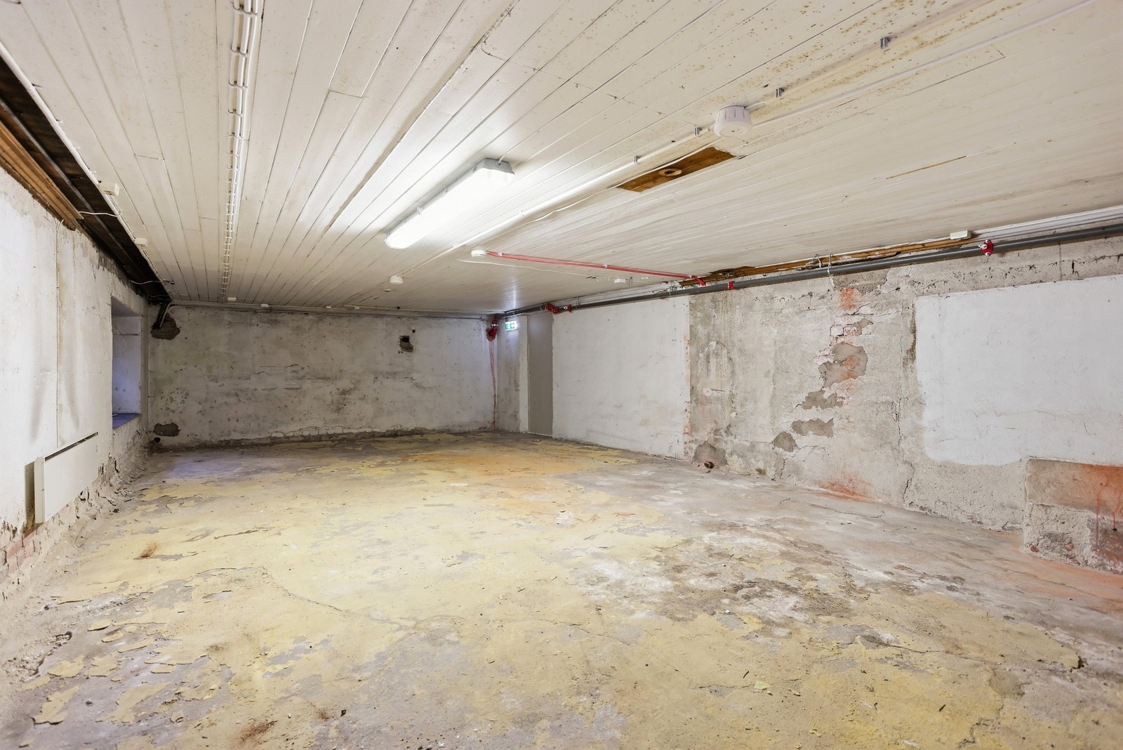 Stor råkjeller medfølger til seksjonen. Galleribilde