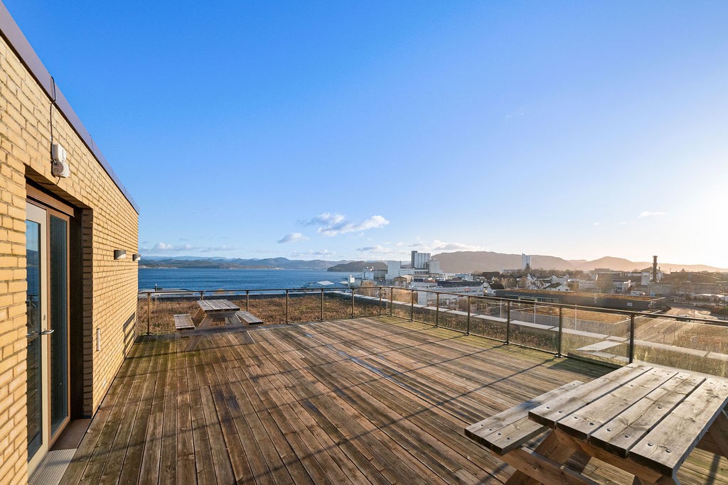 SOA_0457.jpg Galleribilde