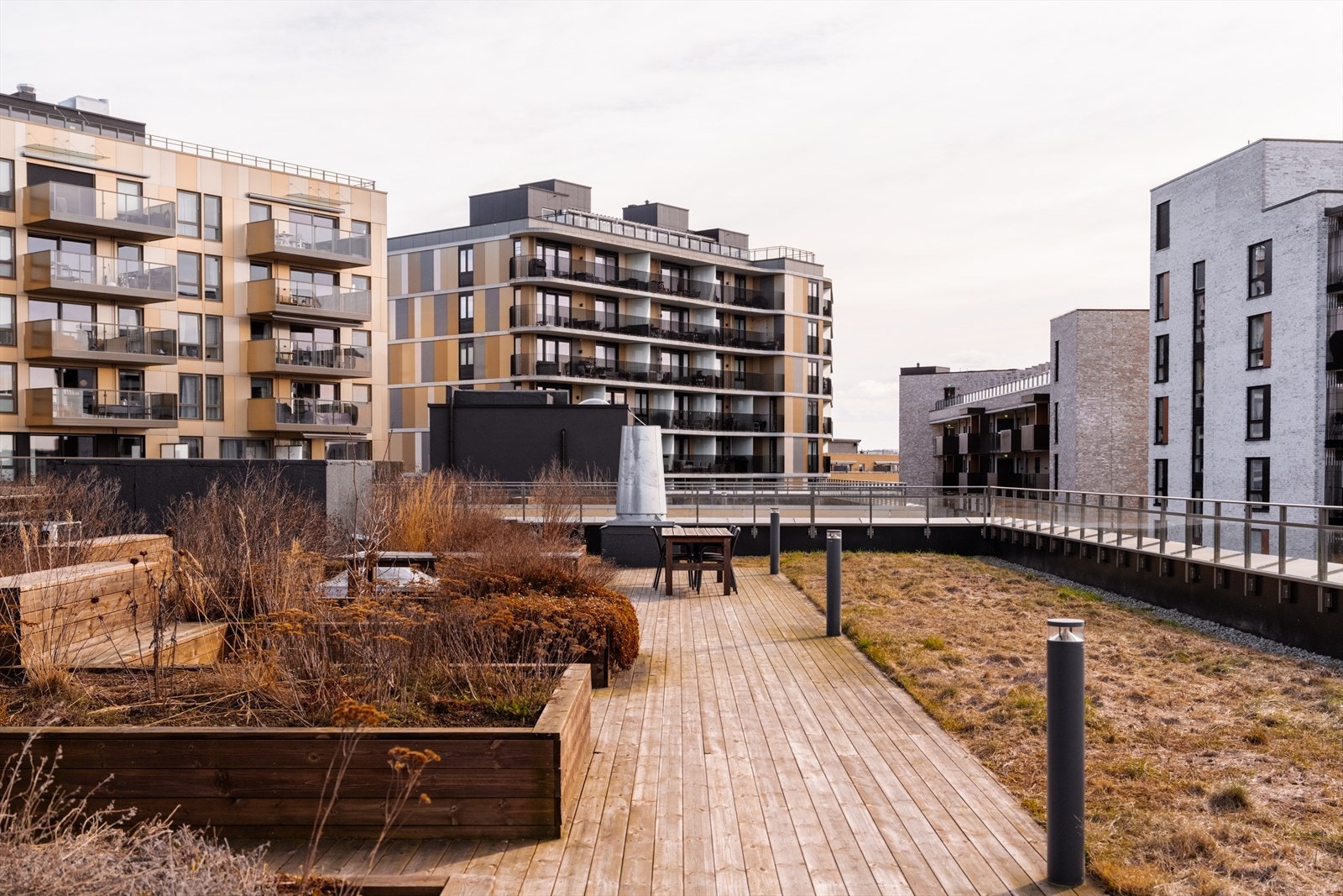Sameiet har flere felles takterrasser. Galleribilde
