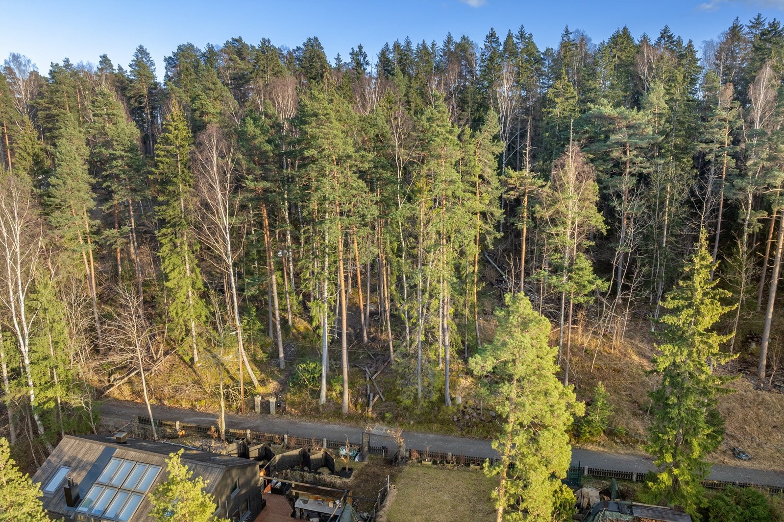 Tomten ligger tilbaketrukket og privat, med skogen som nærmeste nabo. Galleribilde