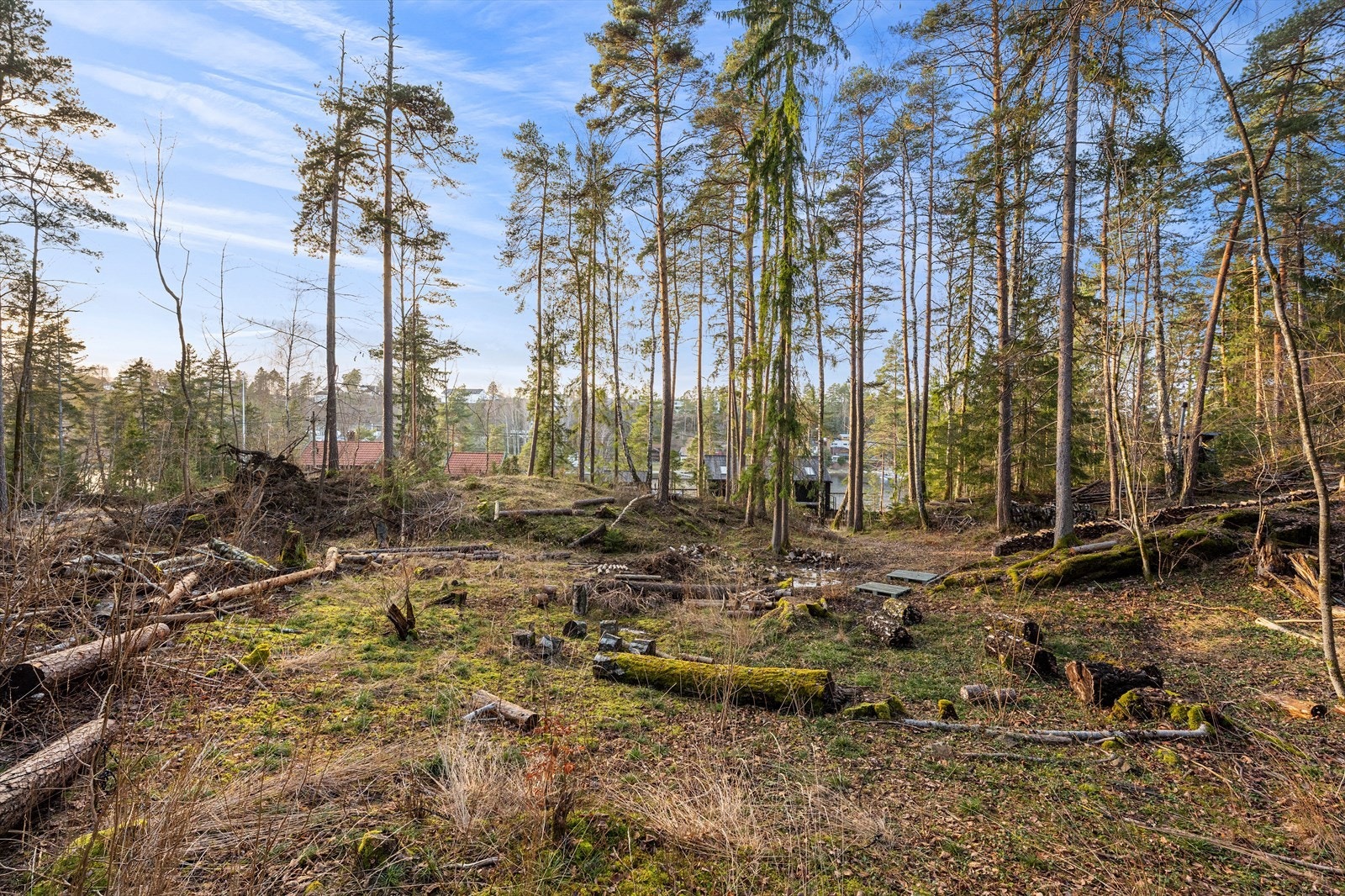 Det pågår en reguleringsprosess i området som kan åpne for at eiendommen kan benyttes som helårsbolig i fremtiden. Det stilles ingen garanti om at dette lar seg gjøre. Galleribilde