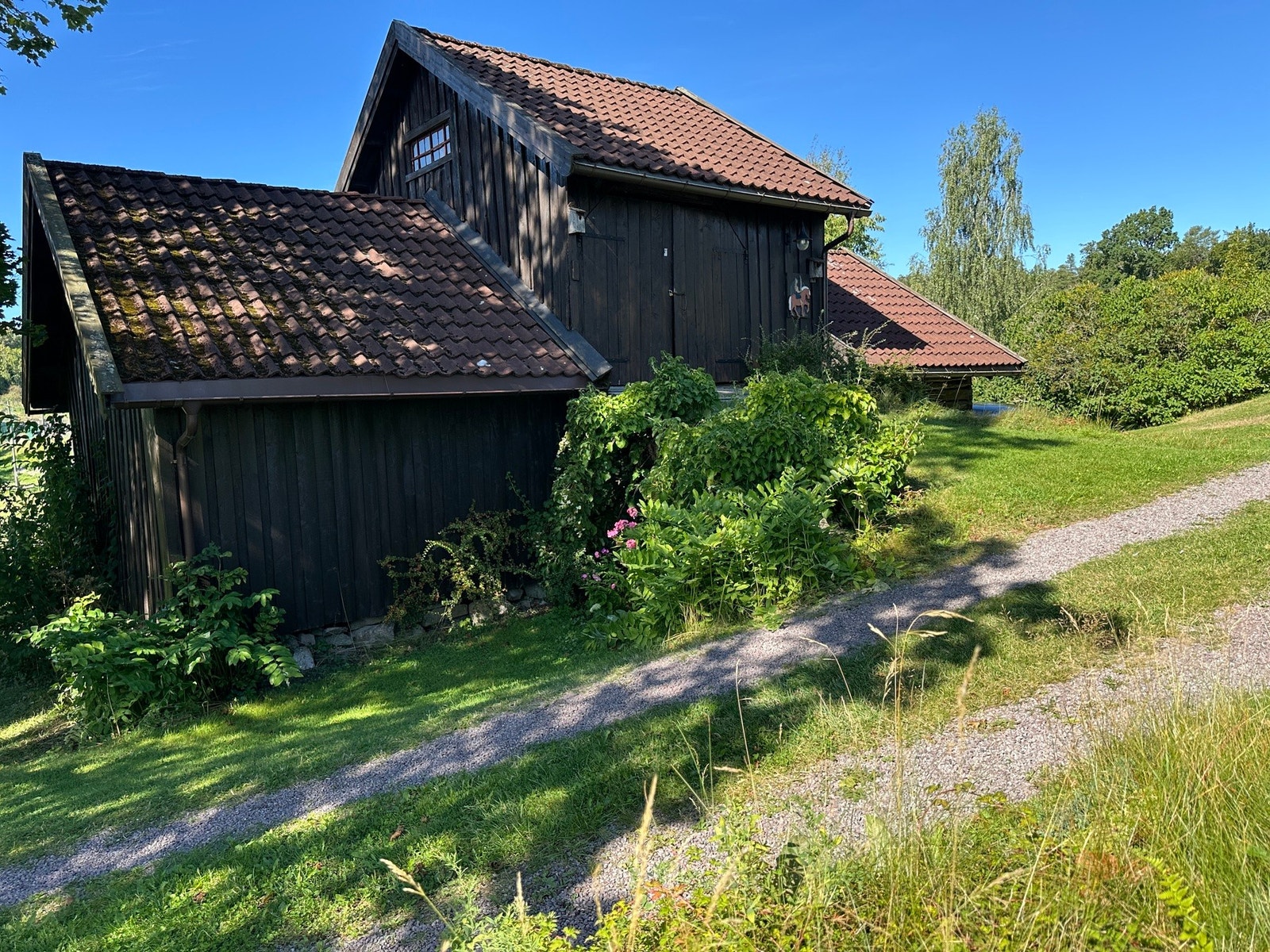 Sommeridyll i Reirveien Galleribilde