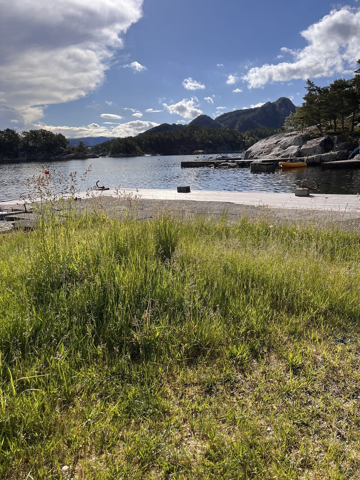 Nærområde. Galleribilde