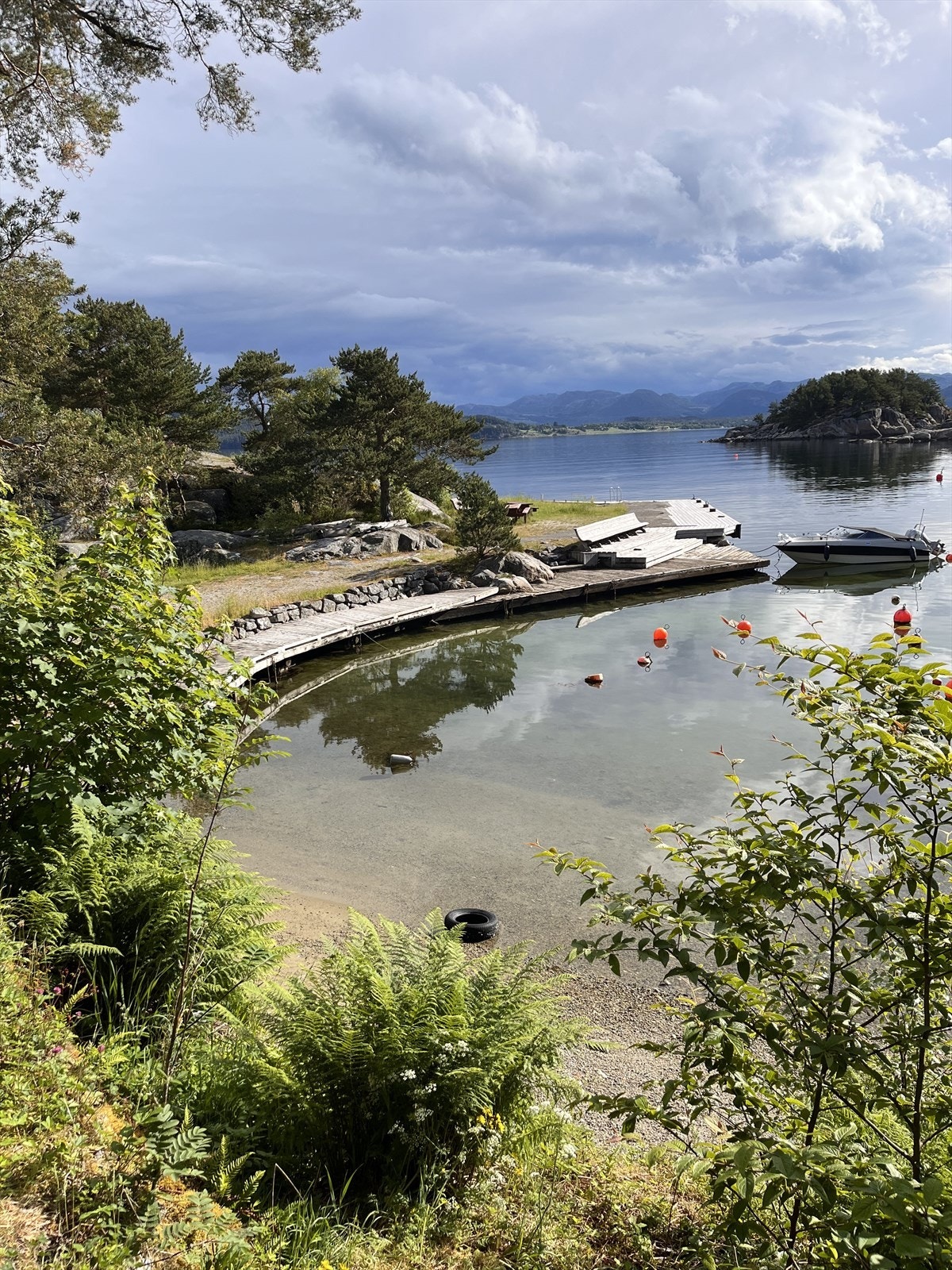 Nærområde. Galleribilde