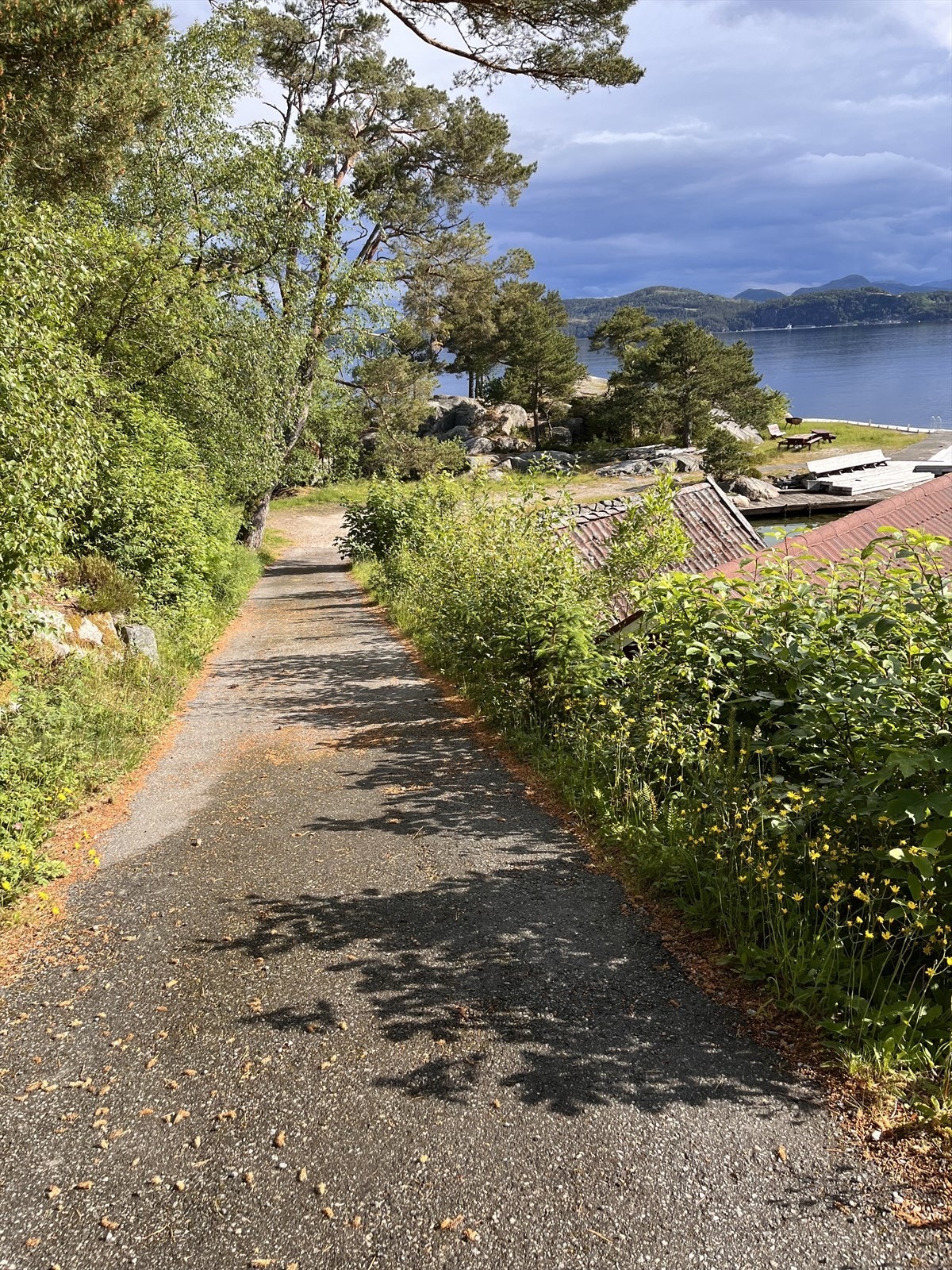 Nærområde. Galleribilde