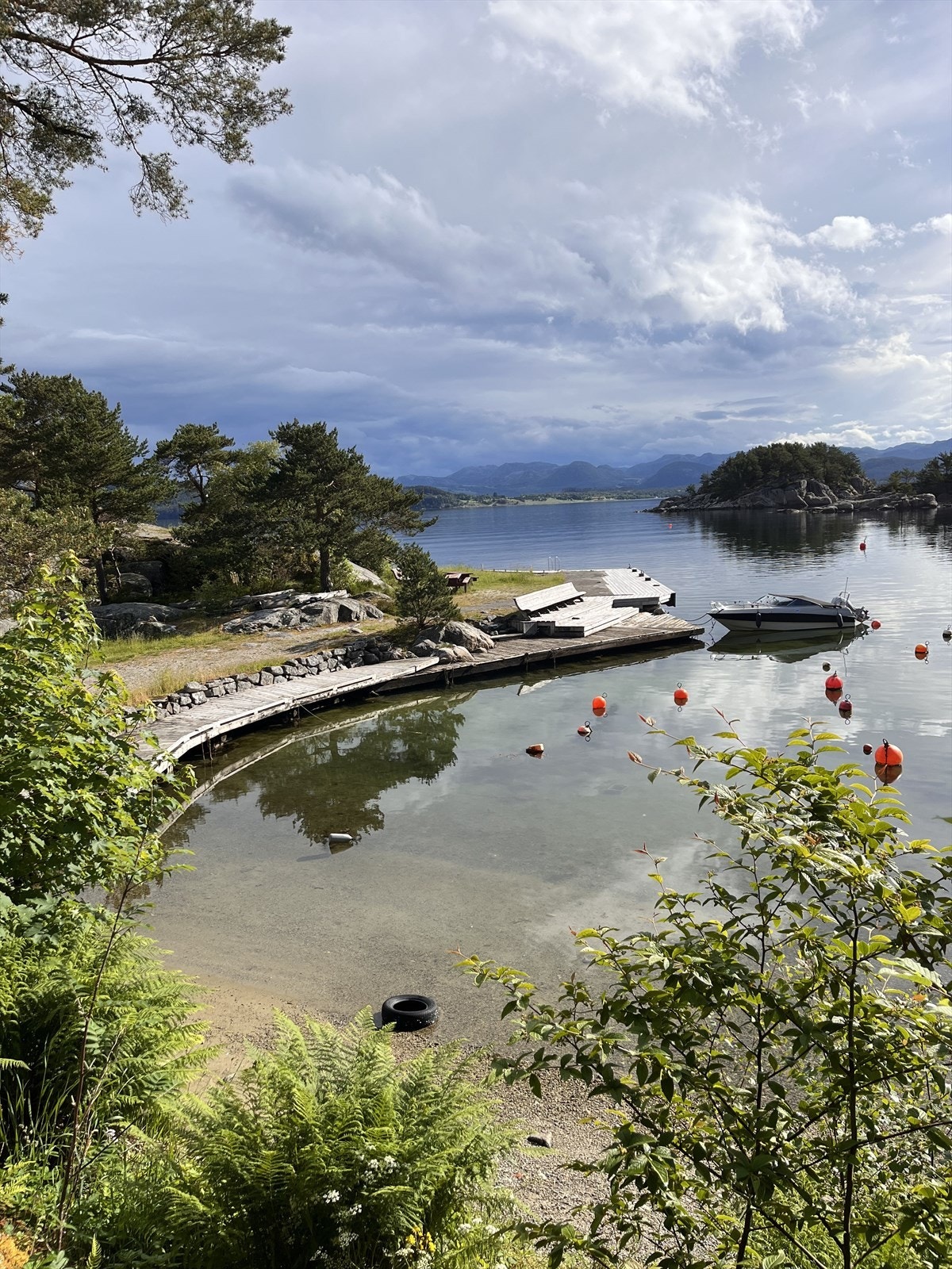Nydelig nærområde Galleribilde
