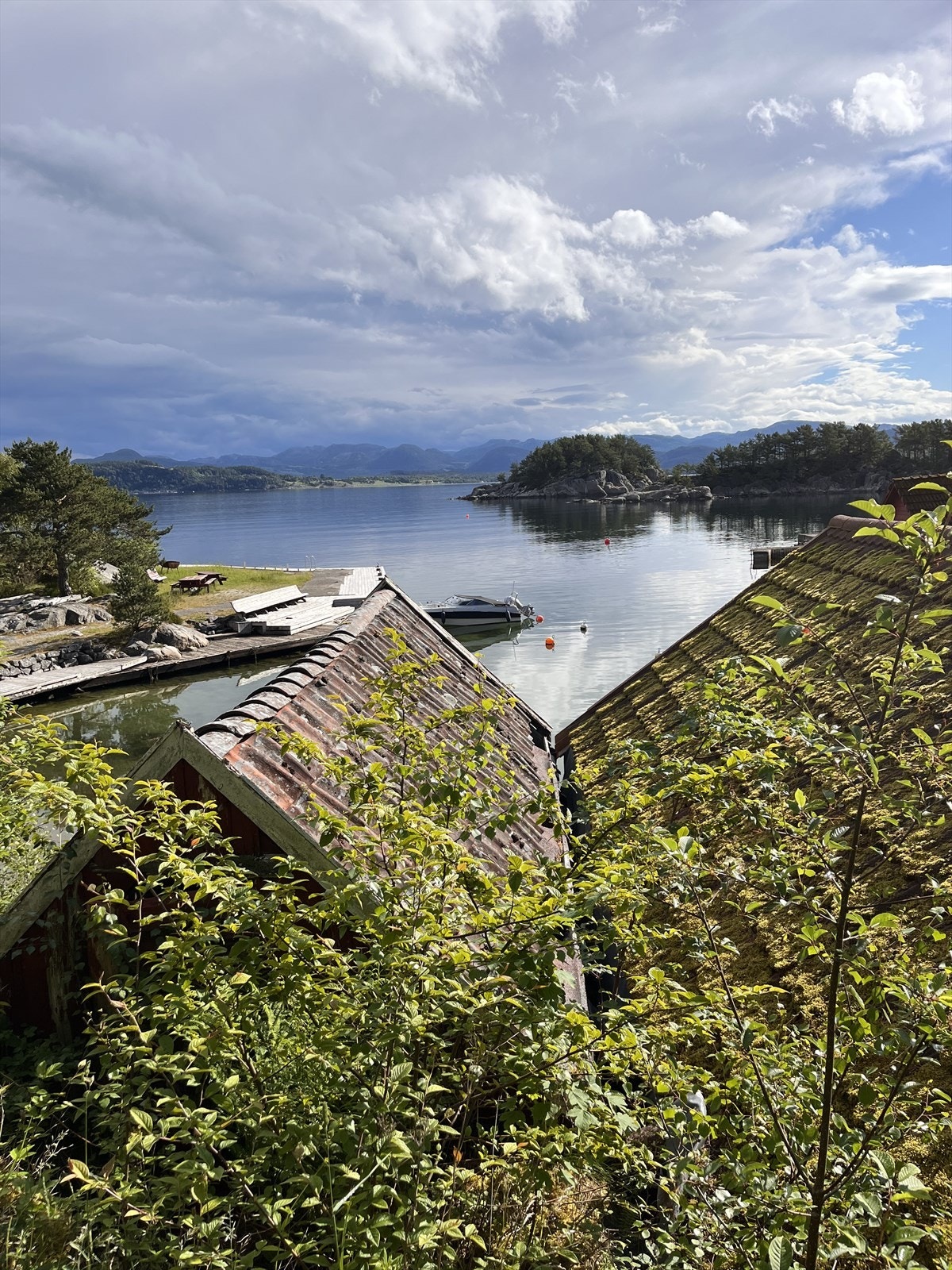 Nærområde. Galleribilde