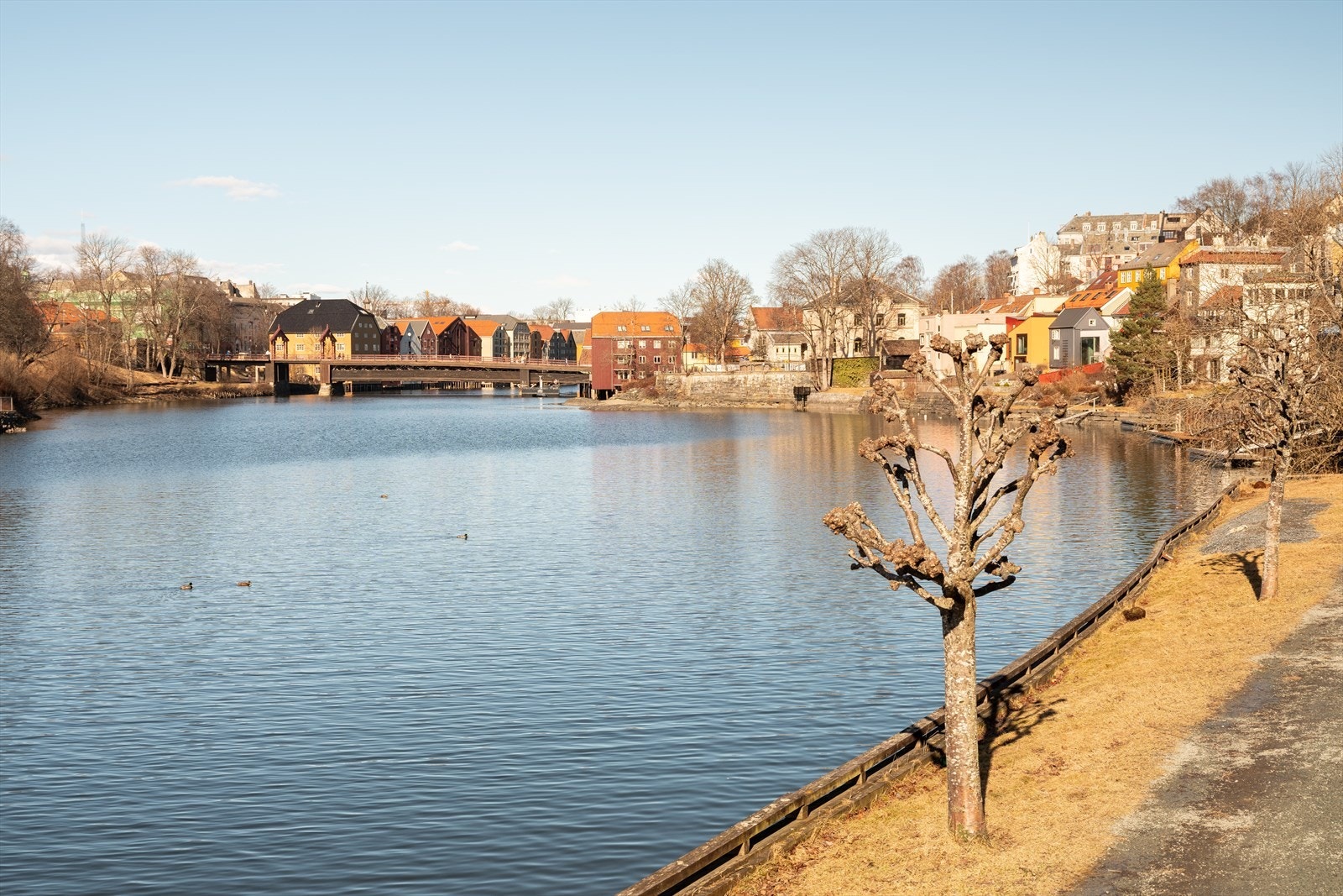 Rett ved leiligheten ligger vakre Nidelva. Langs elvepromenaden og Nidelva er det flotte turstier hvor man kan gå ulike runder rundt i sentrum av Trondheim. Galleribilde