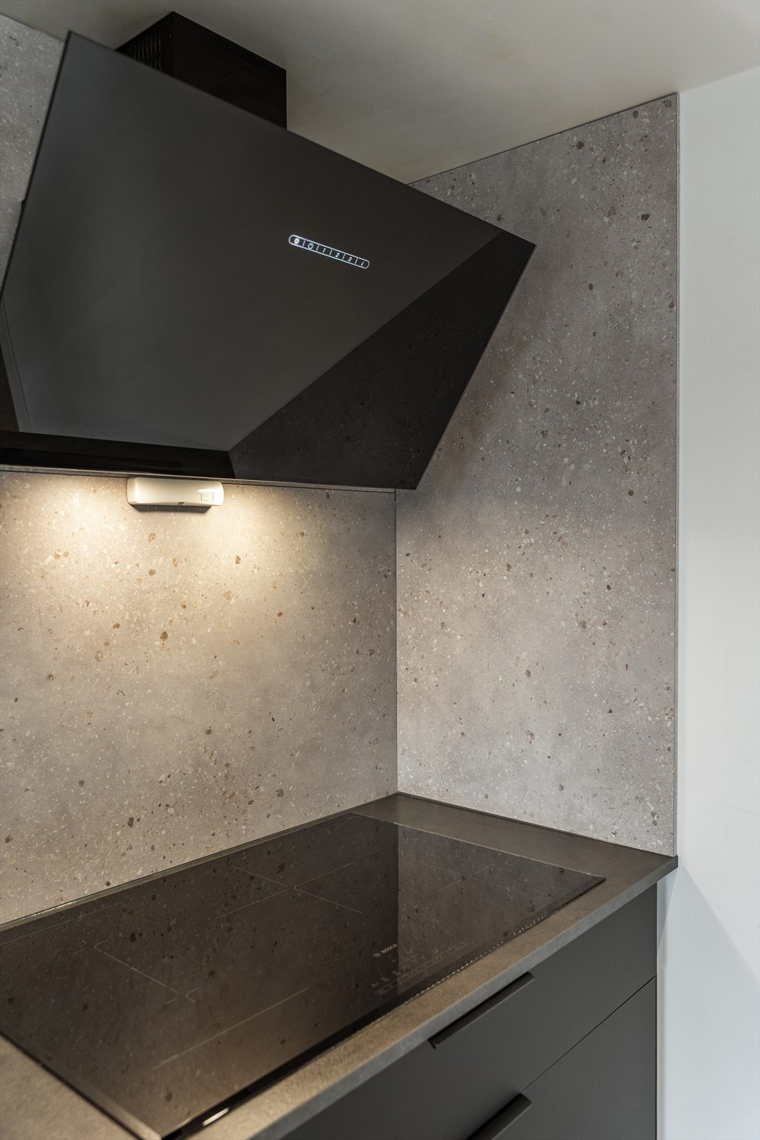 Kjøkkenet er utstyrt med integrert platetopp, oppvaskmaskin, mikrobølgeovn, stekeovn og kombinert kjøl/fryseskap Galleribilde