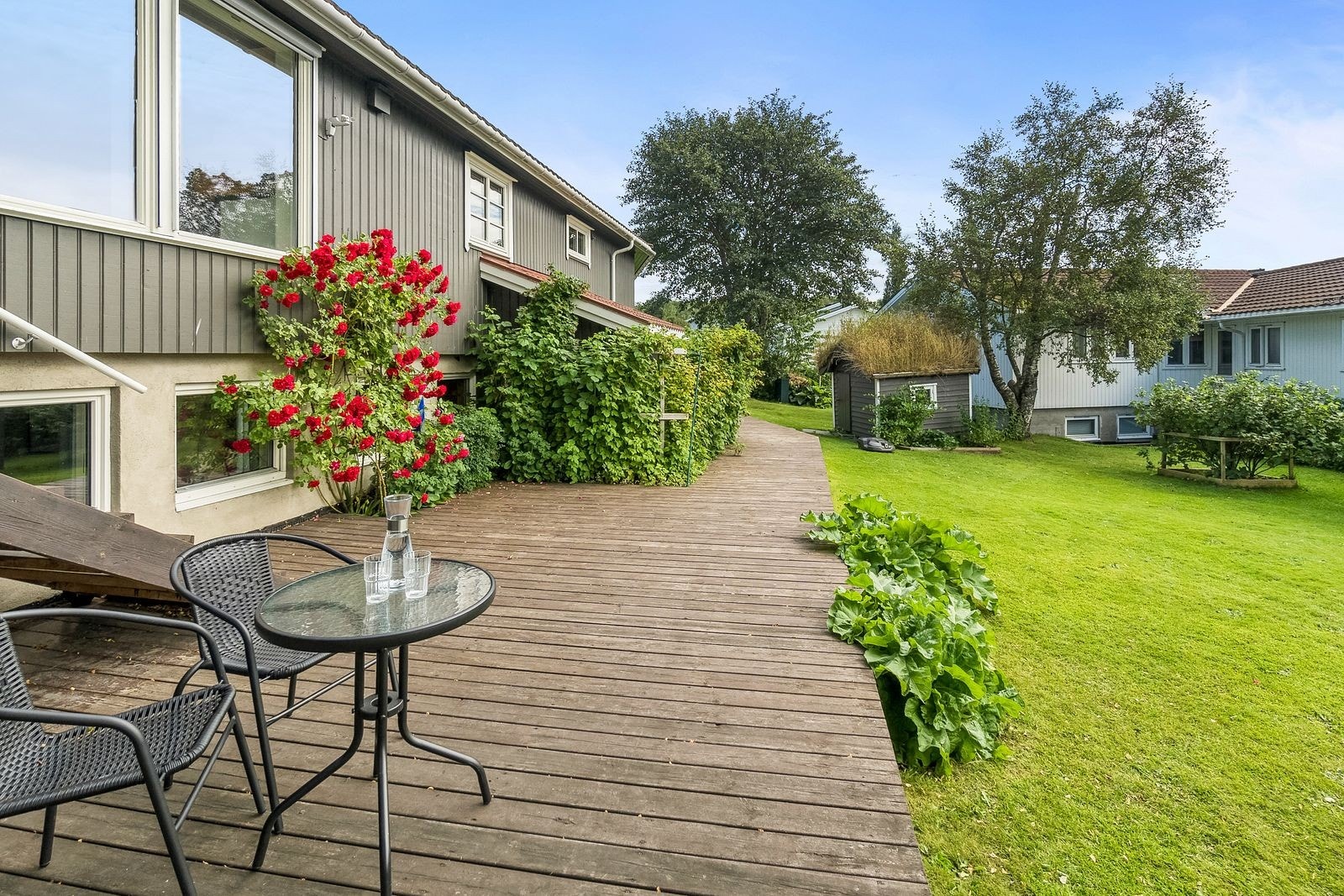 Eiendommen ligger i et skrånende terreng med en opparbeidet hage og stor markterrasse, her ser man også bringebærbusk til høyre for rosebusken Galleribilde
