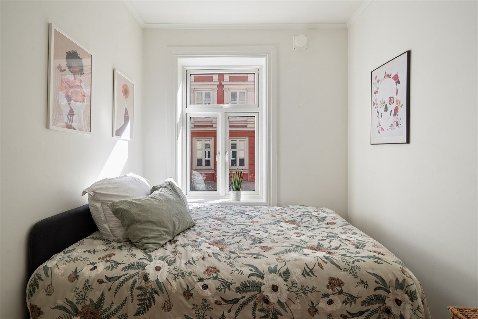 Store vindusflater som slipper inn rikelig med naturlig lys. Galleribilde