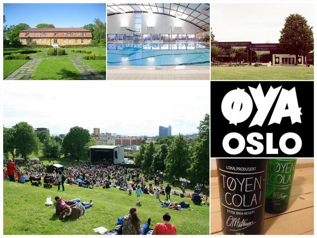 Tøyen har et rikt utvalg av tilbud og kulturaktiviteter. Galleribilde