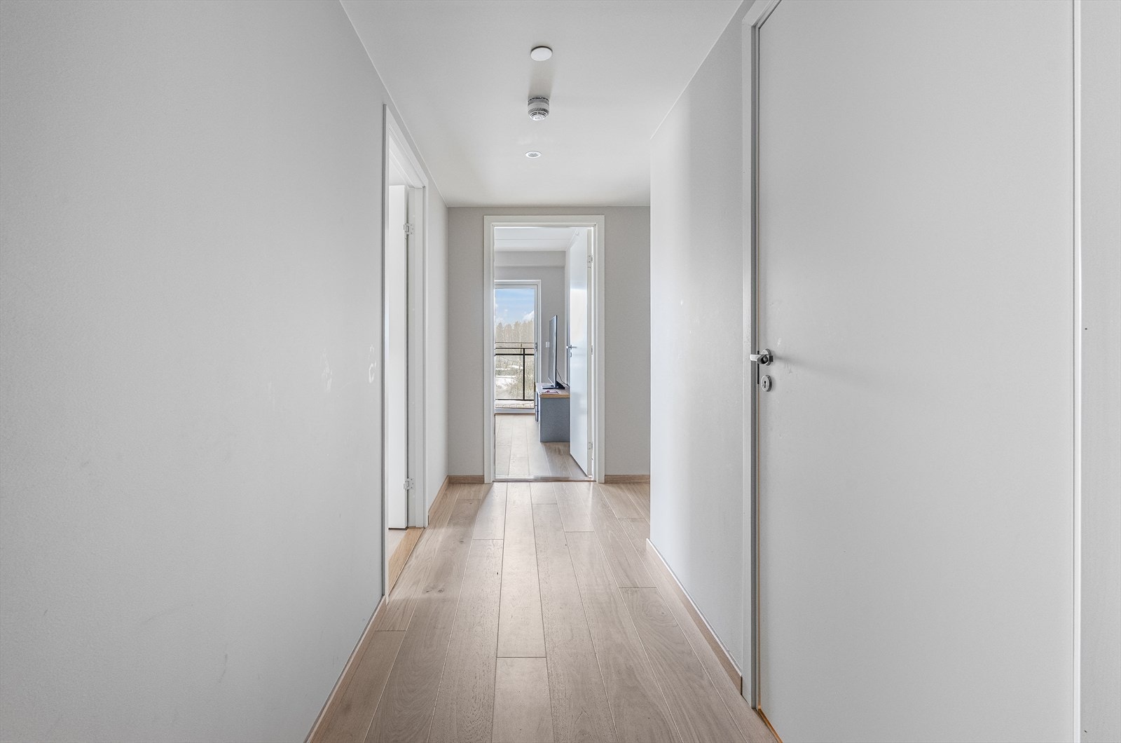 De store vindusflatene slipper inn dagslys hele veien til inngangsdøren. Galleribilde
