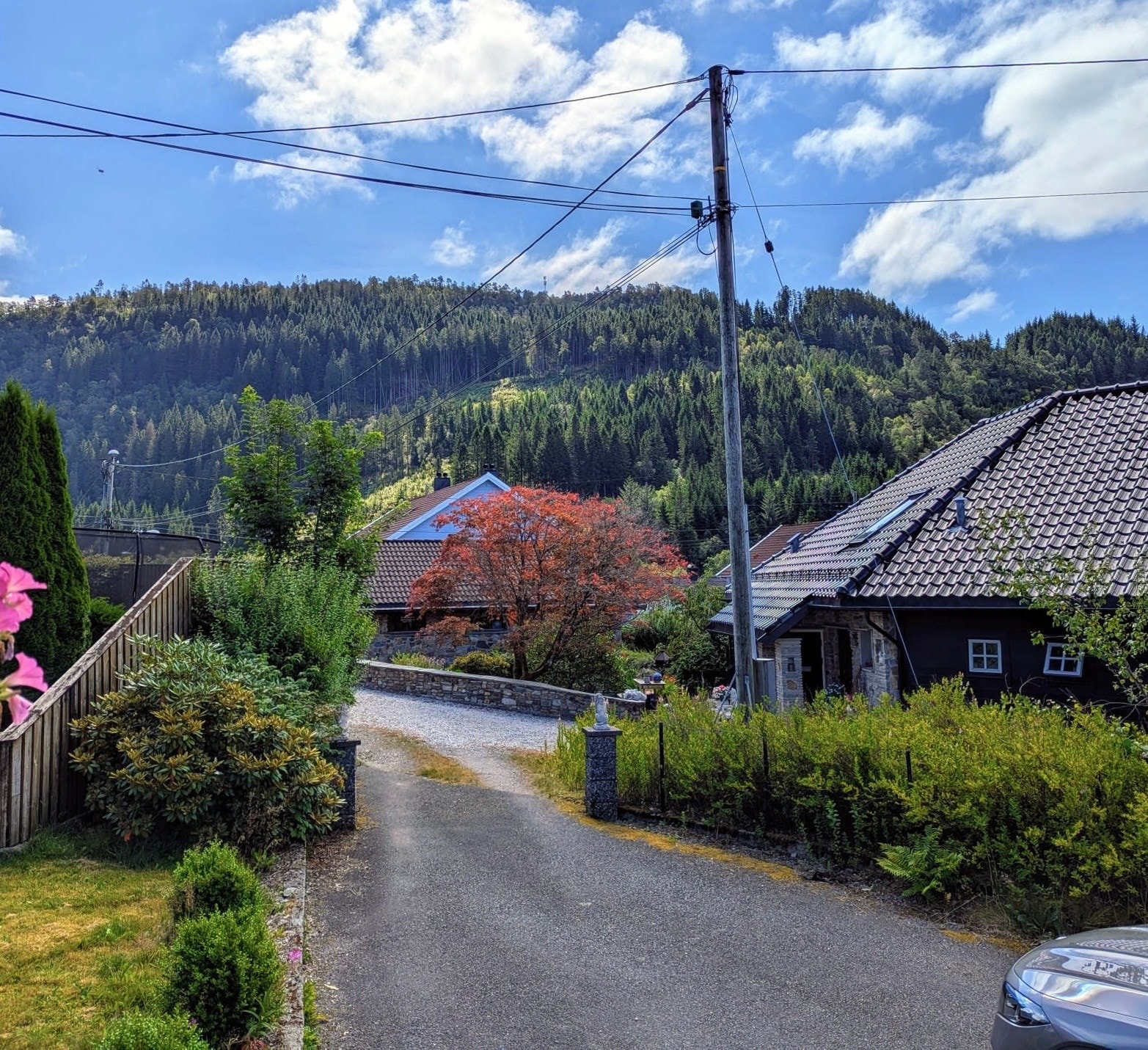 Uteområde Galleribilde