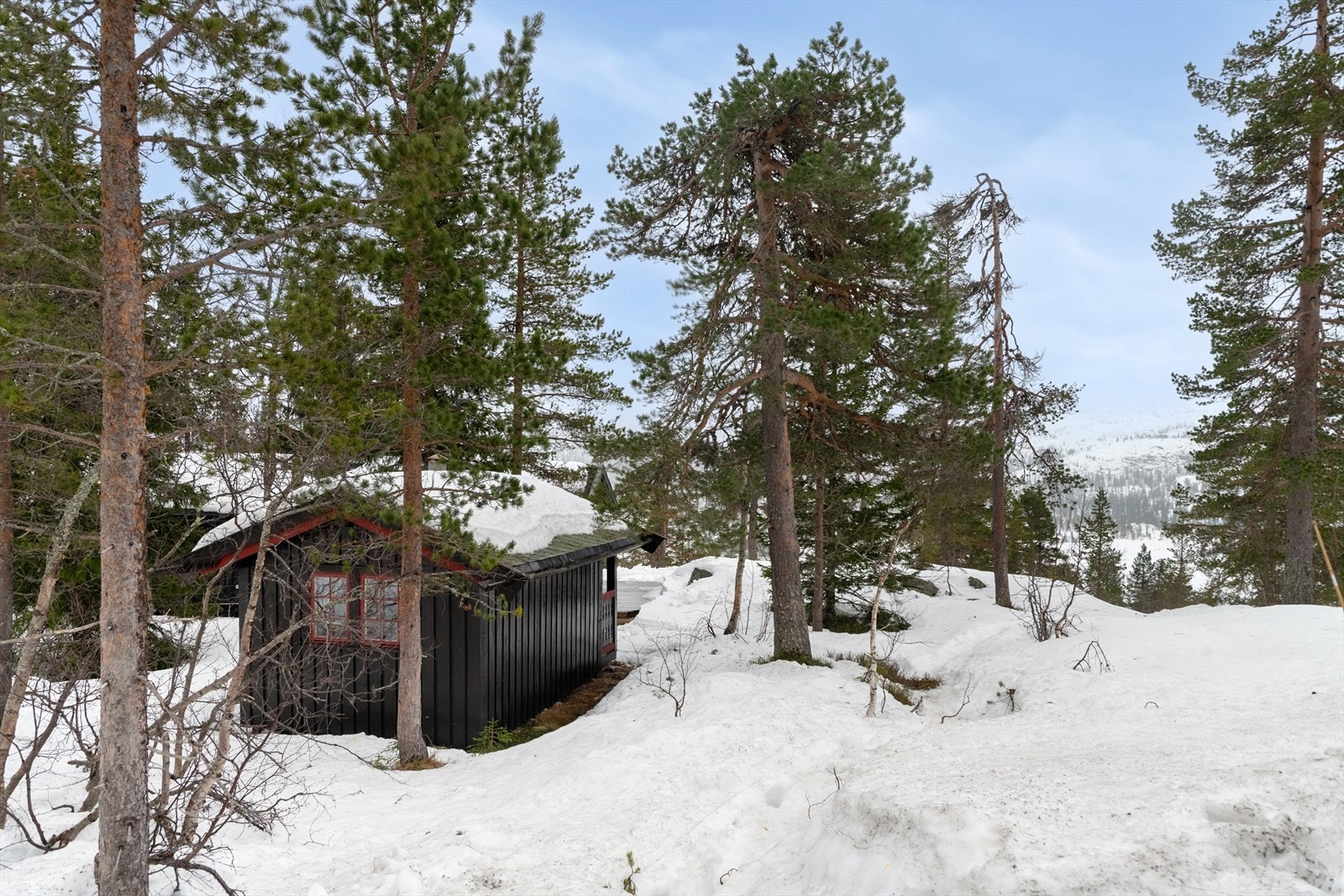 I nærområdet går det turstier til Heksfjell, Blåtjønnfjellet og Mælefjell. I nærheten ligger også Lifjell - et populært fjellplatå mellom Seljord, Notodden og Bø. Galleribilde
