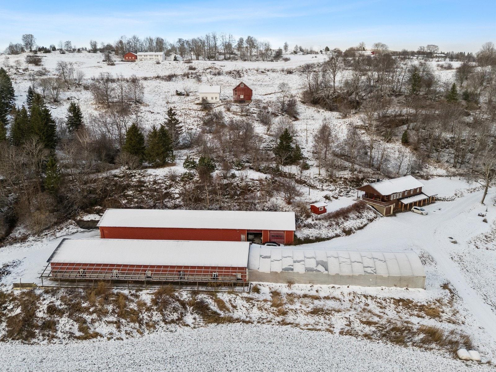 Tunet med våningshus og driftsbygninger Galleribilde