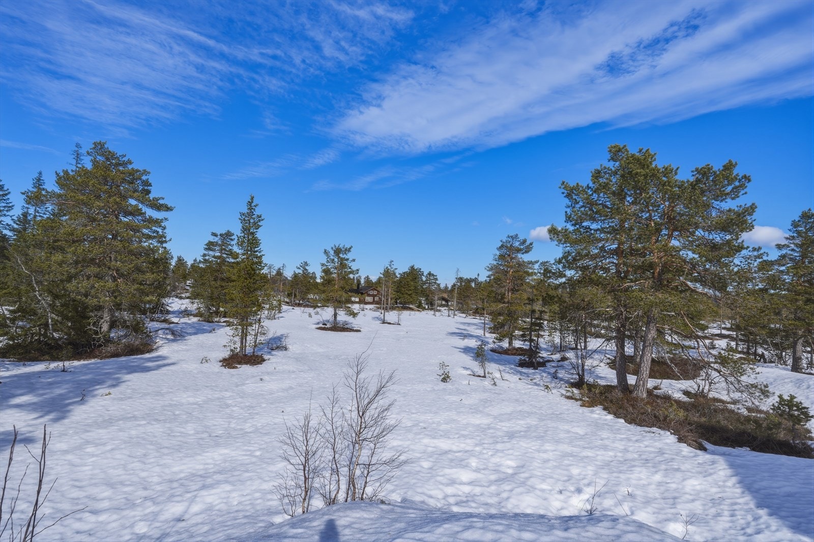 Gode solforhold gjør tomten attraktiv for fritidsbruk. Galleribilde