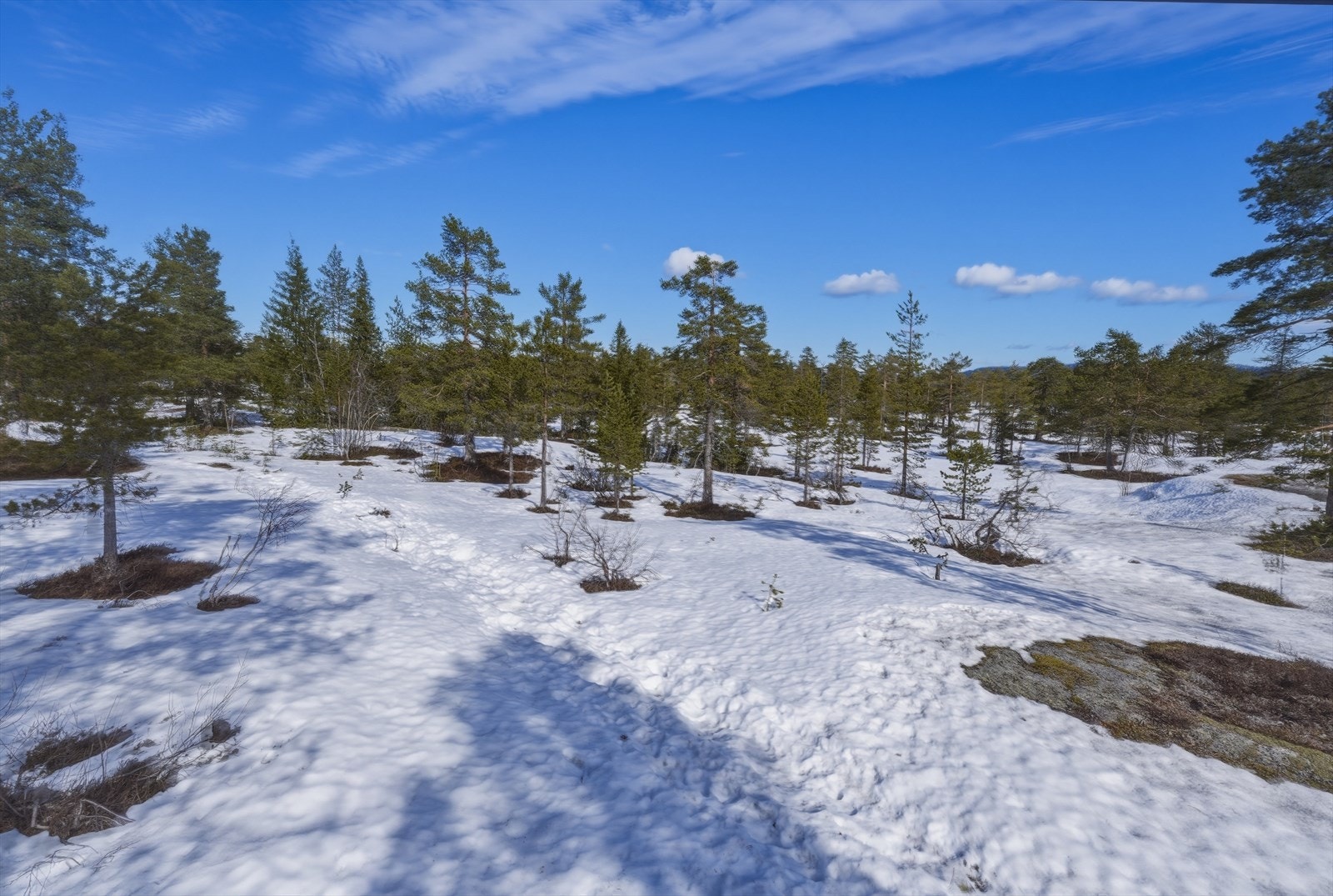 Området byr på flotte turmuligheter både sommer og vinter. Galleribilde