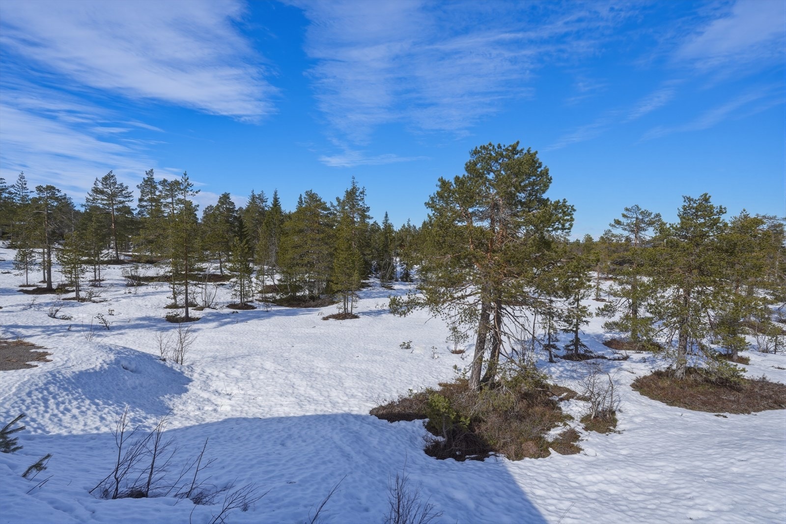 Snødekt landskap gir vakker utsikt over naturen. Galleribilde