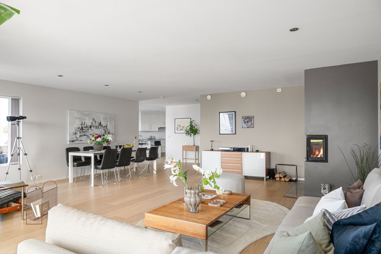 Vedovn i stuen som varmer godt på kaldere dager. Galleribilde