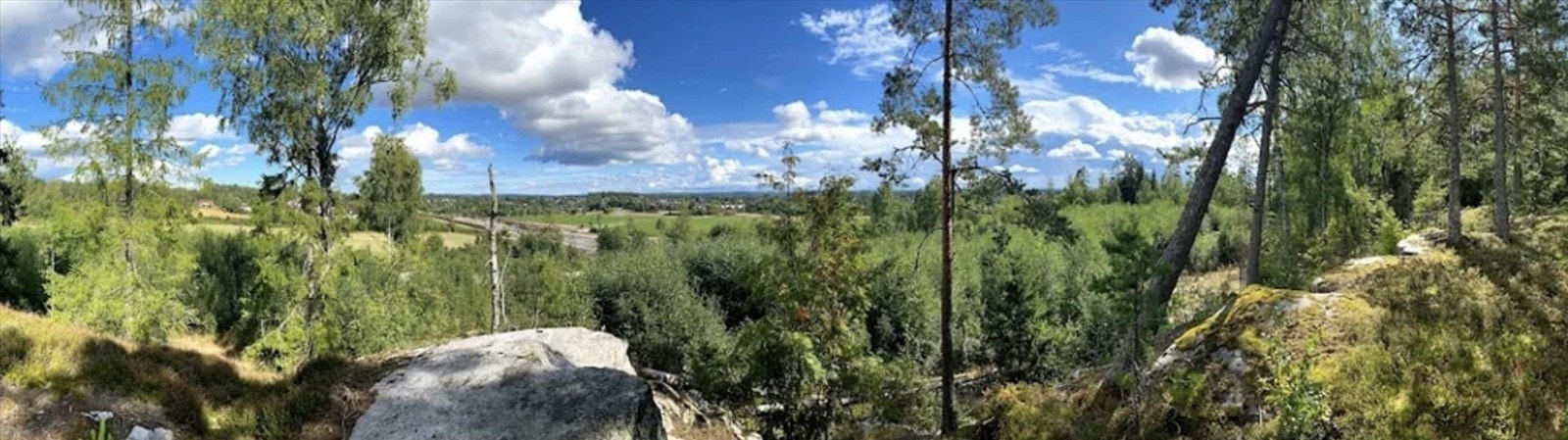 Det er kort vei til flotte rekreasjonsmuligheter i Finstadskogen. (Foto Marthe Arnesen) Galleribilde