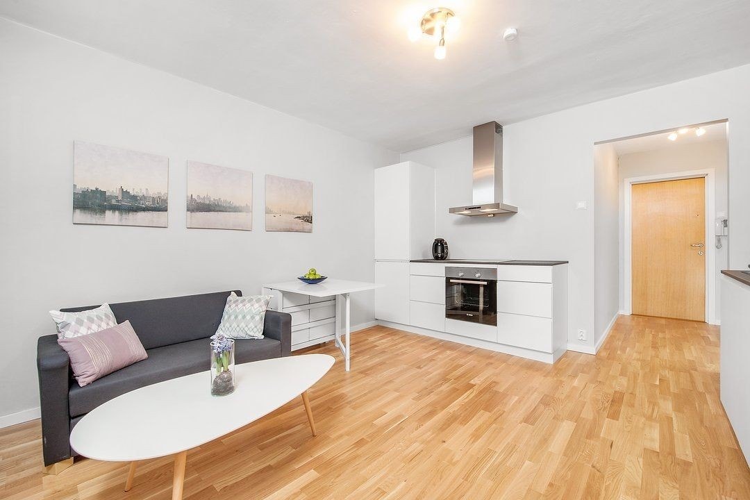 Det er plass til både liten sofa og spisebord dersom man innreder smart. Galleribilde