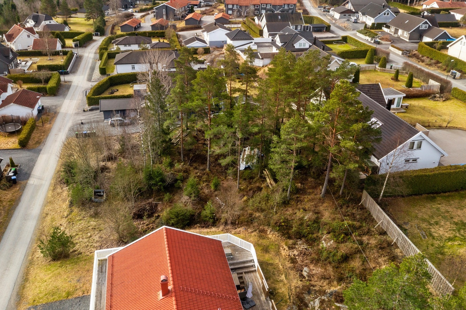 Lett skrånende terreng med bevarte trær gir et godt utgangspunkt for en bolig med en skjermet hage. Galleribilde
