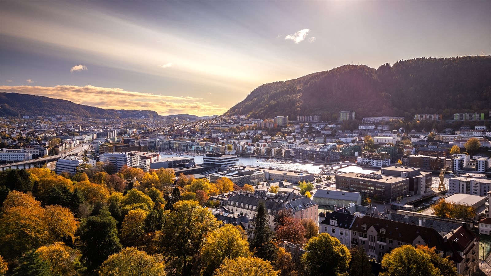 Liker du deg bedre i skog og mark, finner du Løvstakken med den nye løvstien og Damsgårdsfjellet i vest, turmuligheter rundt Store Lungegårdsvann, Ulriken og Fløyen i øst. Galleribilde