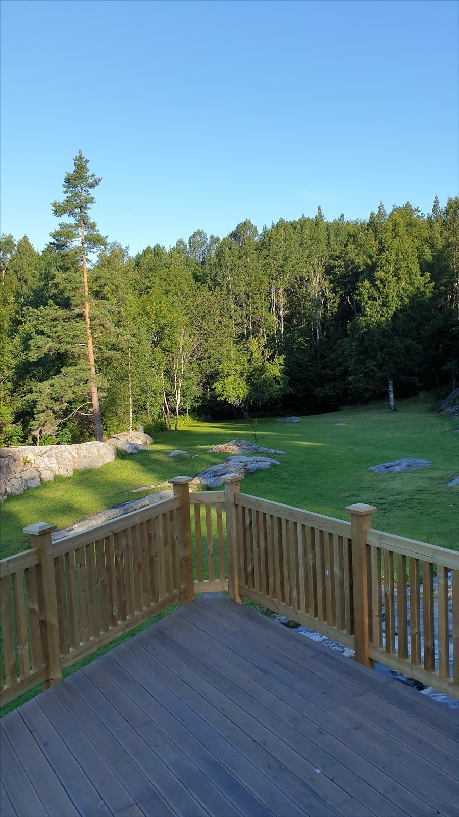 Selgers egne bilder Galleribilde